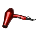 Berta Professional Blow Dryer